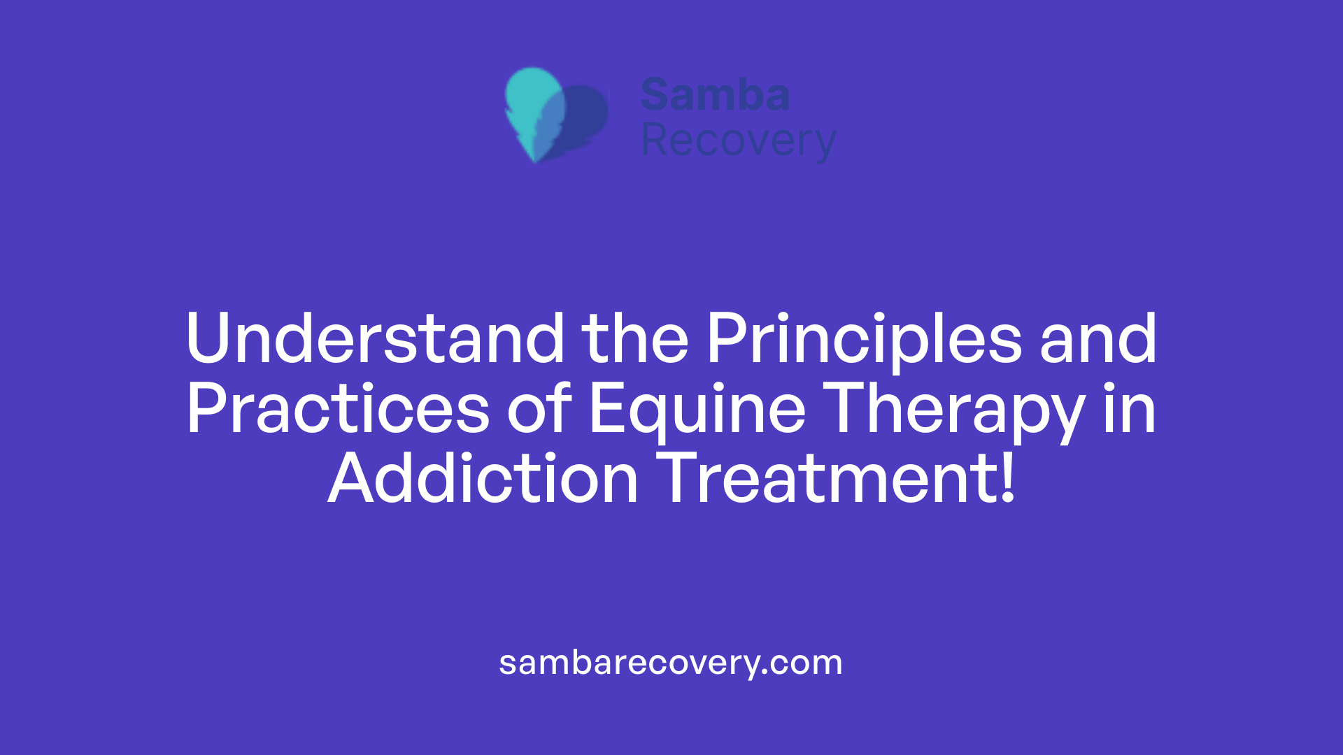 Understand the Principles and Practices of Equine Therapy in Addiction Treatment!