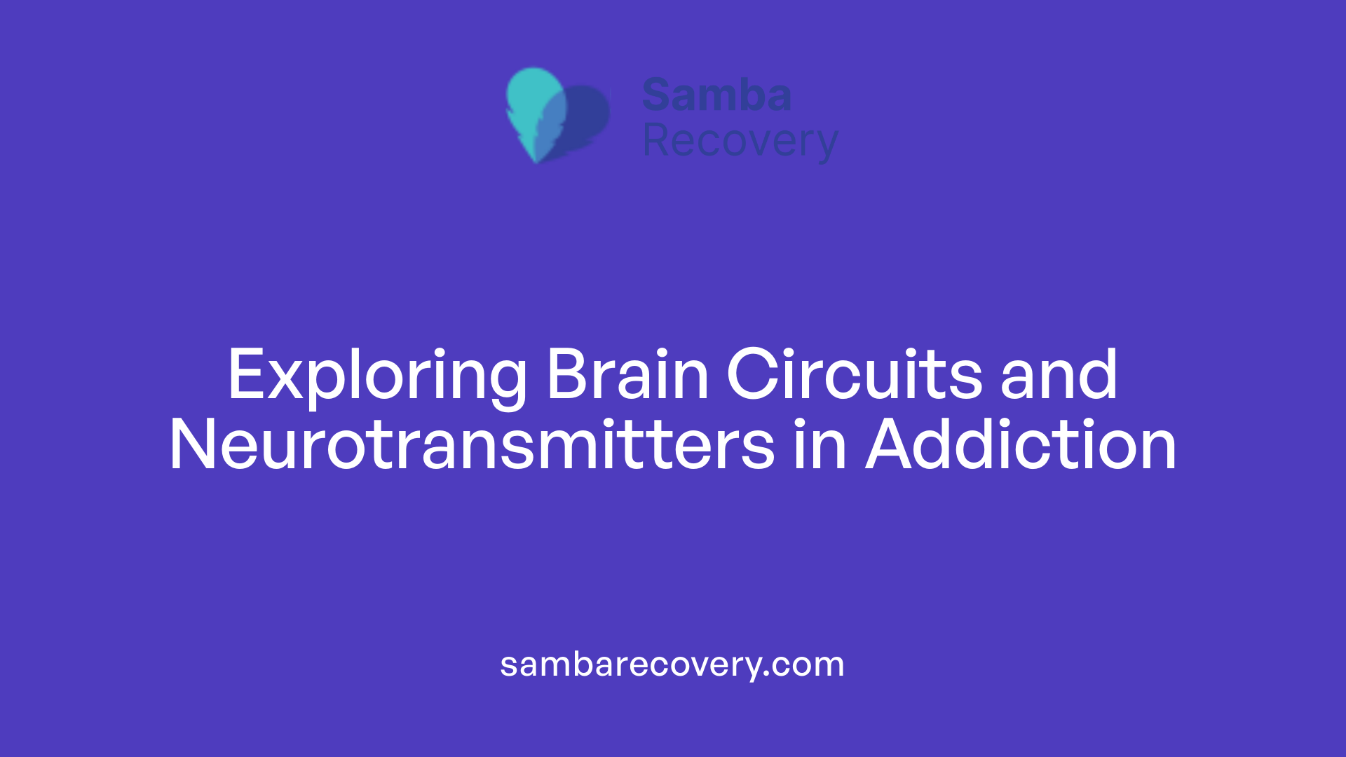 Exploring Brain Circuits and Neurotransmitters in Addiction