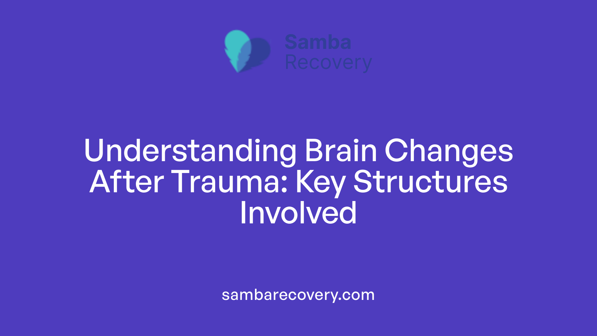 Understanding Brain Changes After Trauma: Key Structures Involved